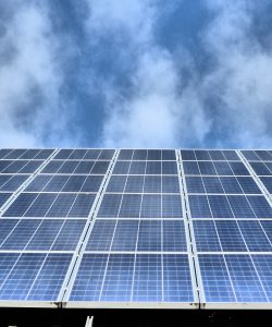 Photovoltaikanlagen mit Gründach Förderung